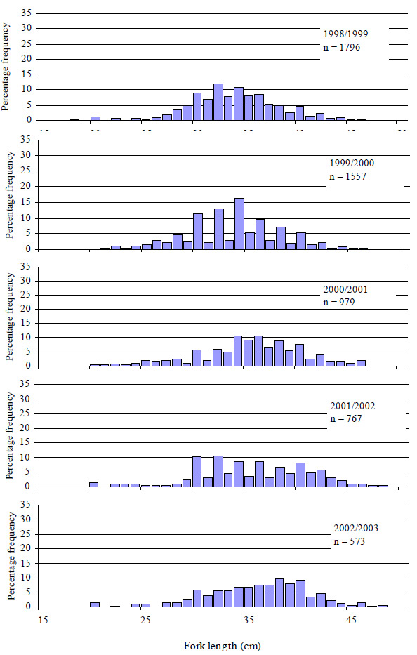Graph: Figure 23. Size composition of all King George whiting caught (both retained and released) by anglers contributing to the Fishing Diary Program who fished in Western Port from 1998 to 2003 (n=number of fish measure) 
