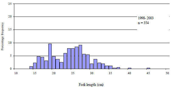 &quot;Graph: Figure 32. Size composition of rainbow trout, both retained and released, caught by anglers contributing to the Fishing Diary Program who fished in the Goulburn River from 1998 to 2003 (n=number of fish measured)&quot;