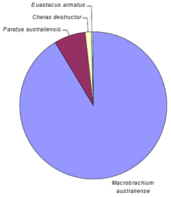 Proportion of small species capture from light and bait trap survey at the Cable Hole.