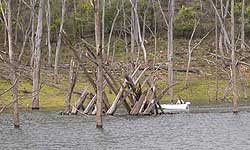 FAD1 being used by anglers after first flooding Jerusalem Creek, Lake Eildon