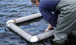 Figure 6. Holding nets used to keep black bream before and after tagging.