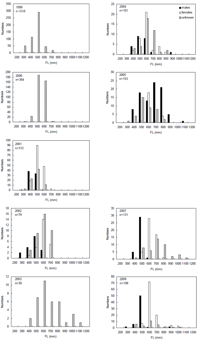 Length distribution of male and female elephant fish harvested (retained only) for each year surveyed in MAFFRI Ongoing Creel Survey and 2008 February&amp;ndash;May Survey.