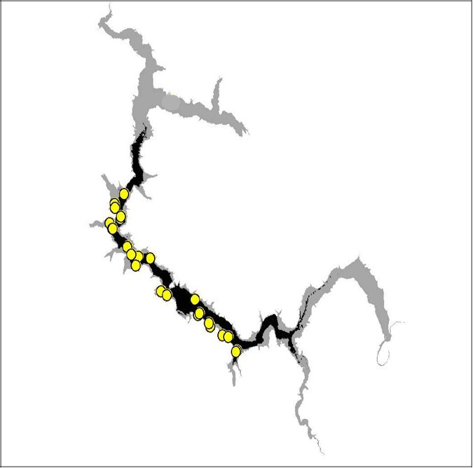 Diagram of predicted summer habitat (black) and observed summer trout locations in Lake Eildon 2003&amp;ndash;04