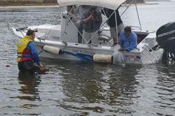 A man stocking Eastern King Prawns from a boat