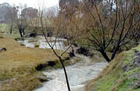 Barwidgee Creek