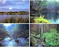 Angling Waters of Victoria