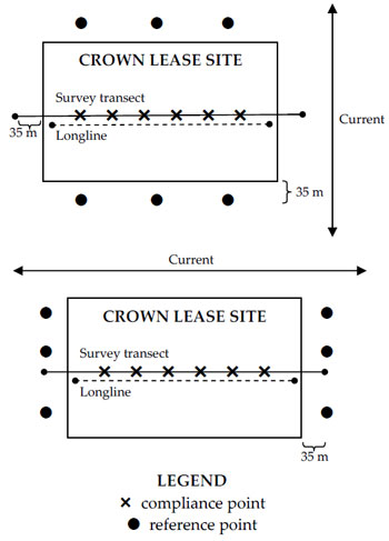 Schematic of Crown lease site indicating approximate placement of the survey transect, reference points and compliance points in relation to current (diagram not to scale).
