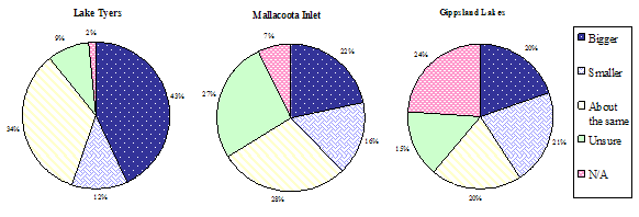 Figure 8. Three pie graphs - Angler opinion on the size of dusky flathead caught from mid 2003 to 2007 compared with 1999 to mid 2003 in Lake Tyers (n=67), Mallacoota Inlet (n=123) and Gippsland Lakes (n=254).