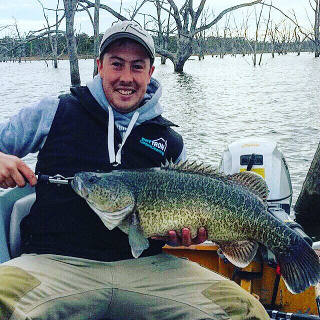 Murray cod at Rocklands