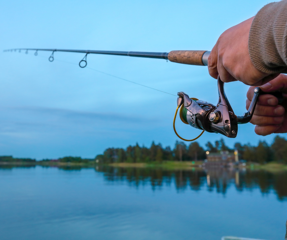 Is Fishing Allowed In Nsw During Lockdown - Picture of Fishing