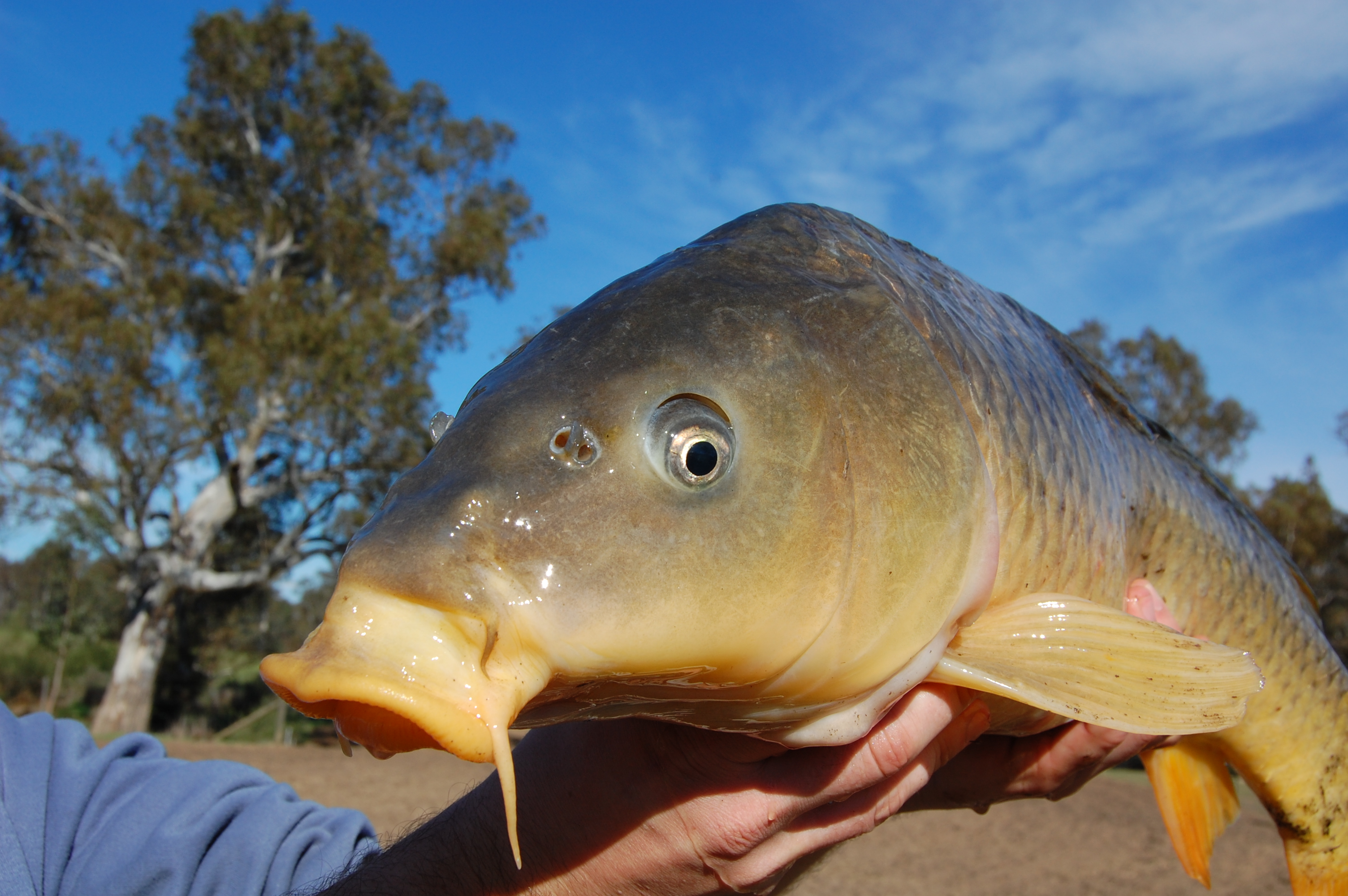 Carp Fishing Marker Float Systems - Angling Centre West Bay