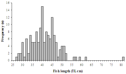 Figure - Bar chart showing length vs frequency between 81 and 85 to be predominantly 40 cm.