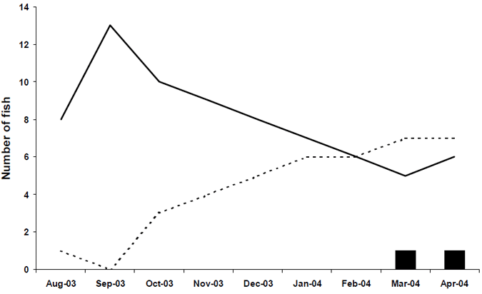 Activity status of radio-tagged golden perch from monthly tracking surveys. Solid black line represents number recorded alive, dashed line represents number recorded on mortality and solid bars represents number not found.