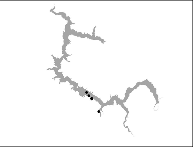 Figure 13 BT 12 (insufficient data)