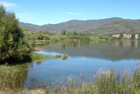 Mt Beauty pondage