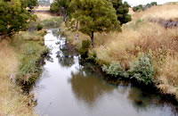 Moorabool River East