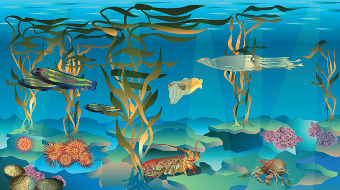 Kelp Forest poster