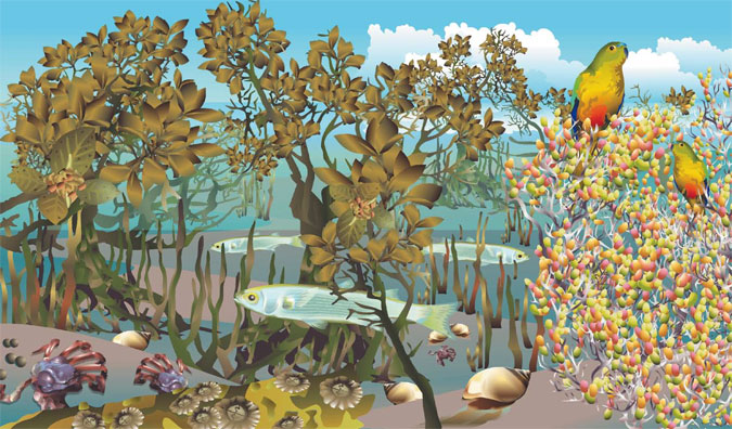 An illustration of Saltmarshes & Mangroves and the key species that live amongst them