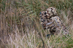 Fisheries officer in camo