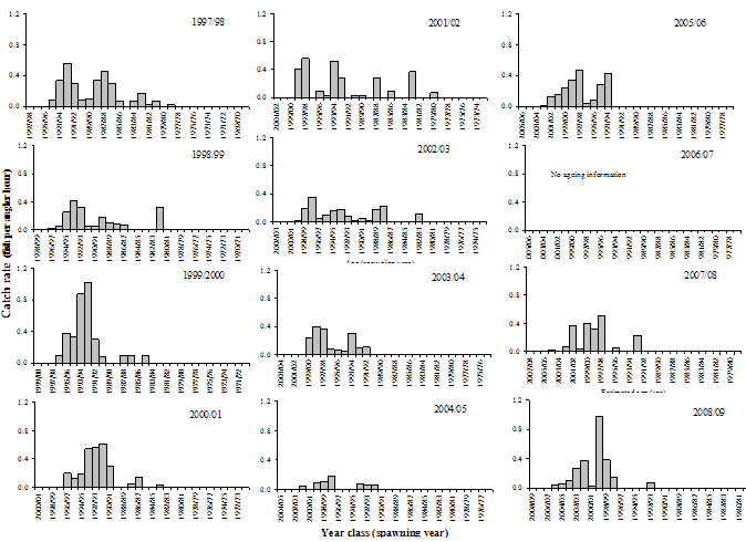 Figure 9. Twelve bar graphs - Catch rates of individual black bream year-classes sampled in Mallacoota Inlet from 1997/98 to 2008/09.