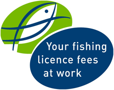 Fish License Logo
