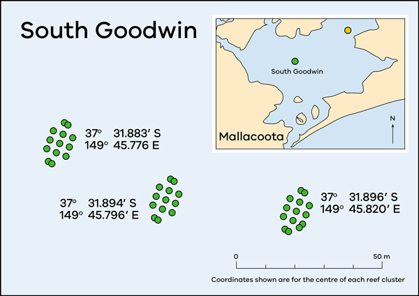 Map of Lake Tyers showing artificial reef locations at South Goodwin.