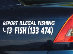 Report illegal fishing - call 13FISH