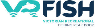 VRFish logo