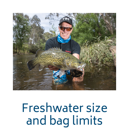 Freshwater size and bag limits link
