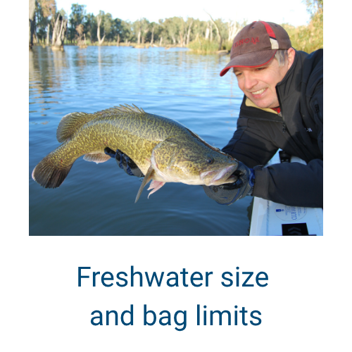 Freshwater size and bag limits link