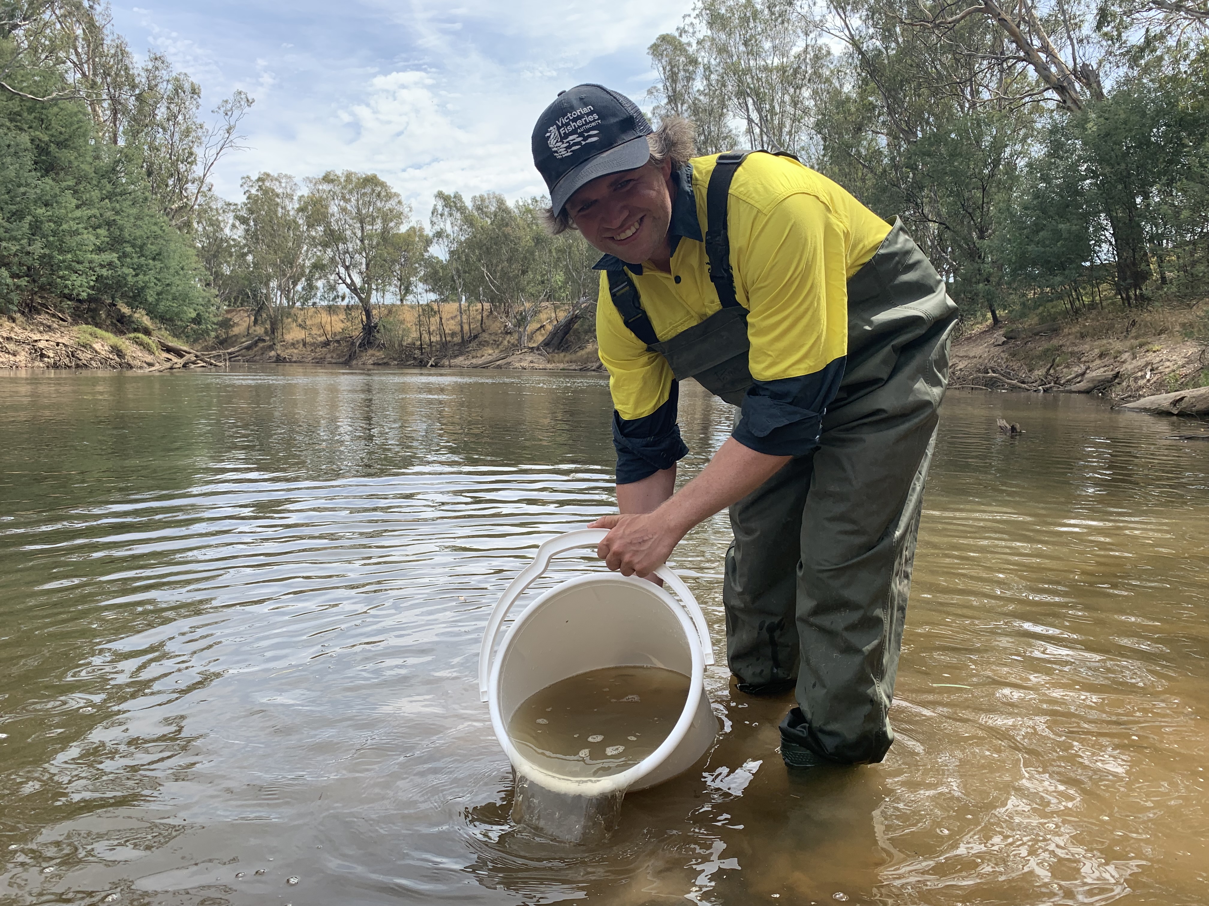 Record 10 million fish stocked - VFA