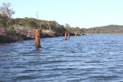 Instream structures at Second Island in the Snowy River