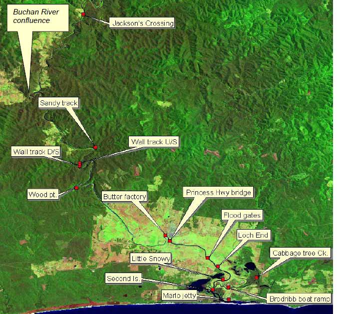 Map showing locations of an array of acoustic listening stations along the Snowy River