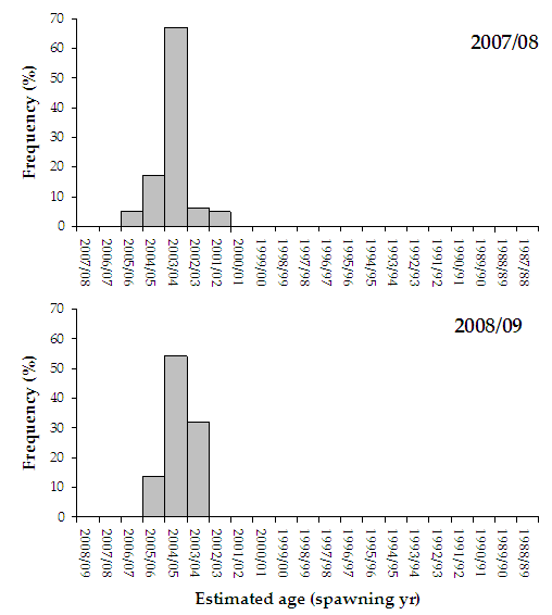 Figure 27. Bar chart shows the age frequency distribution of mulloway which is between 2003 - 2004
