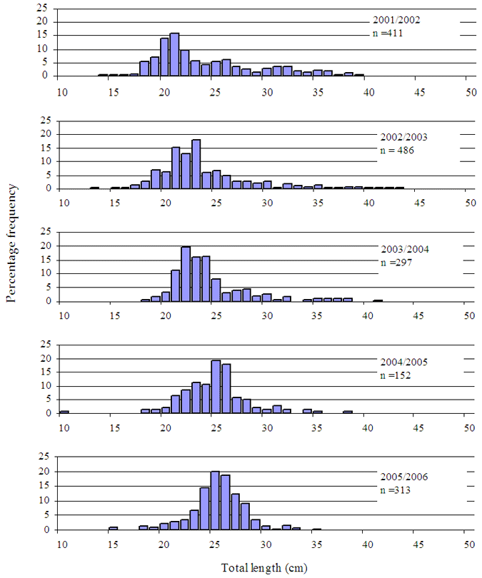 Figure9 - Several bar charts showing size composition of black bream caught in Lake Tyers. The charts suggest that the length is improving from an average of 20cm to 25cm.