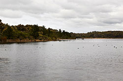 Devilbend Reservoir