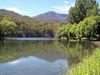 Bogong Dam (Lake Guy)