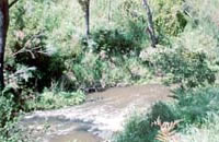 Main Creek