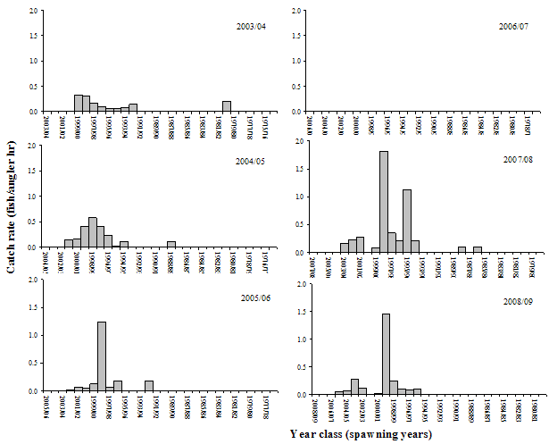 Figure 10. Six bar graphs - Catch rates of individual black bream year-classes sampled in Lake Tyers from 2003/04 to 2008/09.