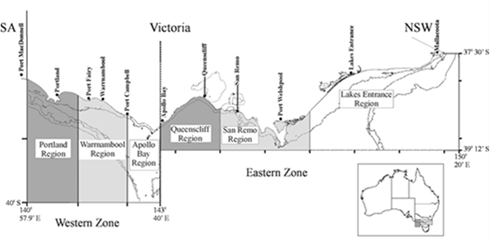 Rock lobster Victorian fishery map