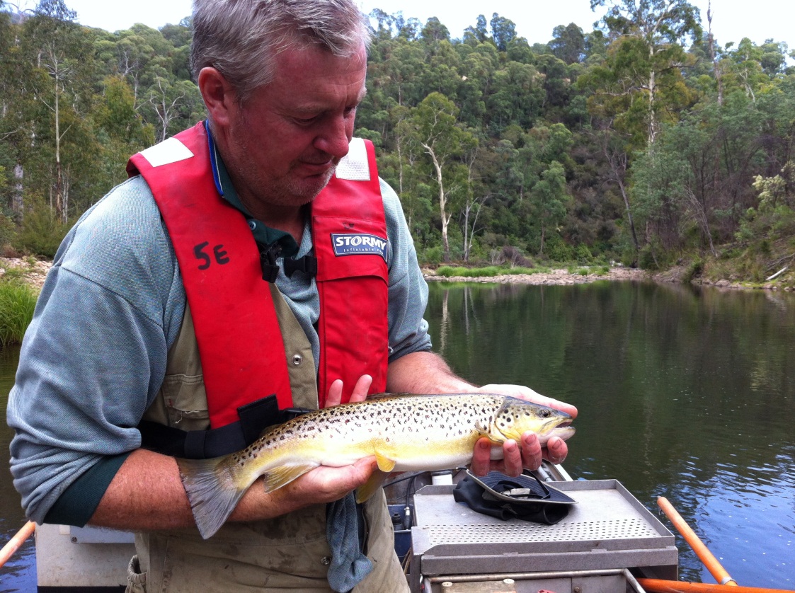 Trout Lake Population At Erin Ayers Blog