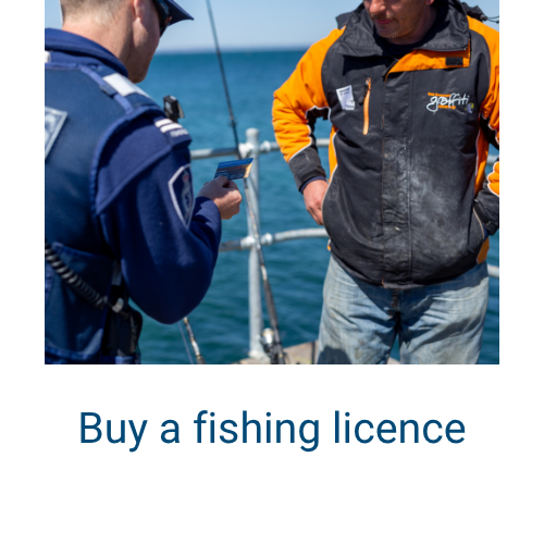 Buy a fishing licence link