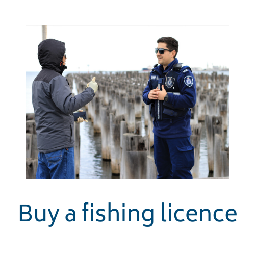 Buy a fishing licence link