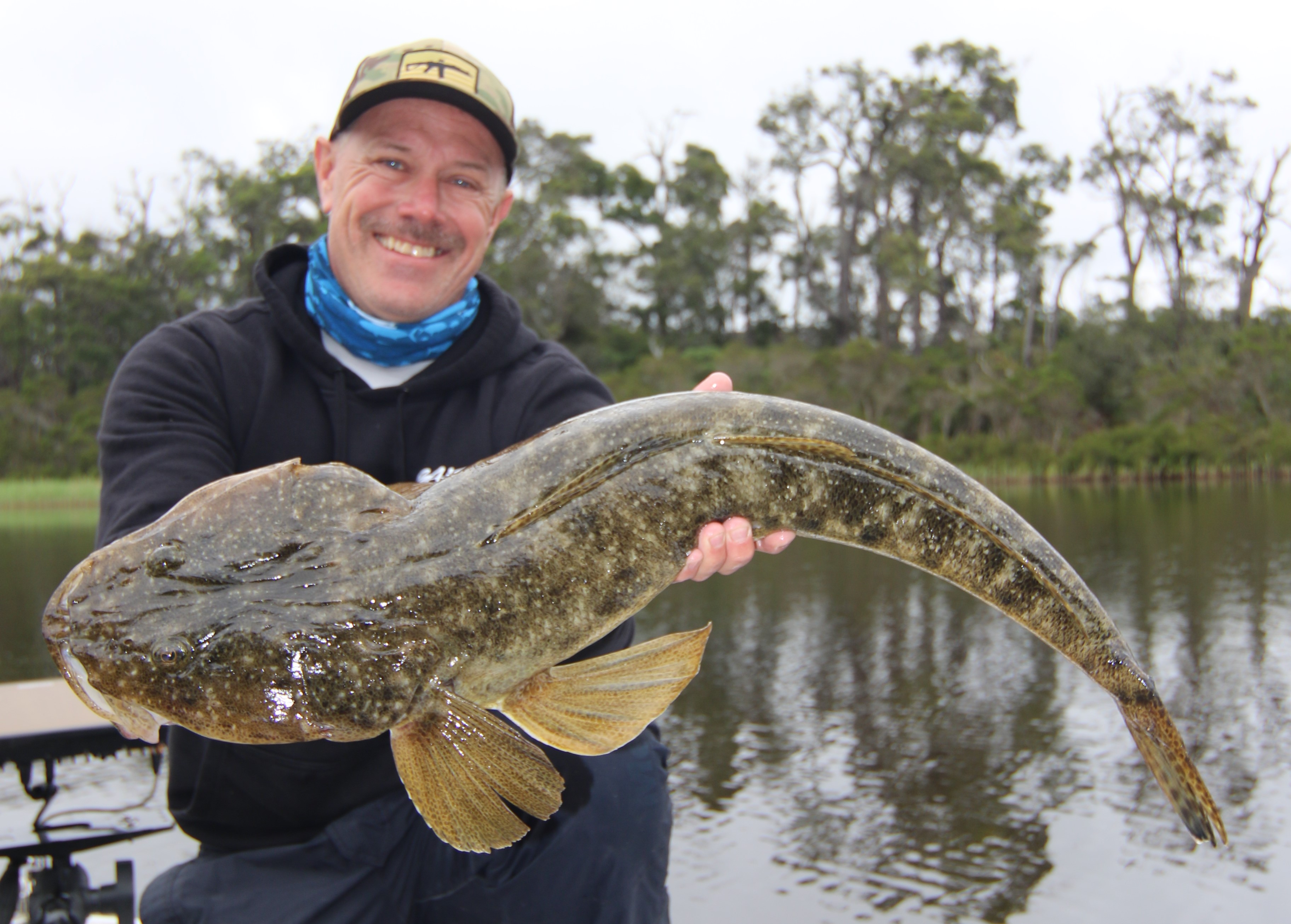 Freshwater Catfish - VRFish