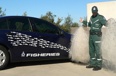 Fisheries officer holding illegal nets next to a marked Fisheries car