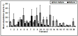 This graph showas the mean SE transect abundance of immature and mature pipis across sampling period