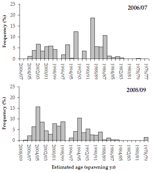 &quot;Figure 3. Bar chart shows age of fish and frequency distribution of estuary perch, 1988/89 being the most frequent in the 06/07 data whilst 2004/05 being the most frequent in the 08/09 data.&quot;