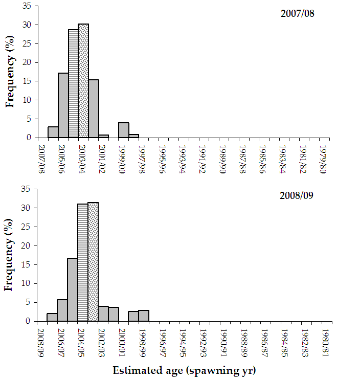 Figure 11. Bar chart shows the age and frequency distribution of dusky flathead caught Mallacoota Inlet. In both years 2003 and 2004 spawning ages were the most frequent
