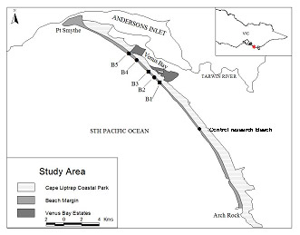 Pipi collecting is highest near points of beach access