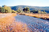 Nariel Creek